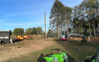 terrain déboisé dans le Hainaut