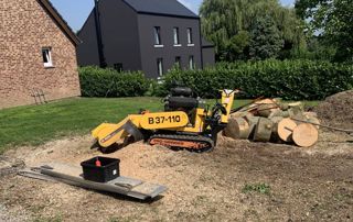travaux de dessouchage