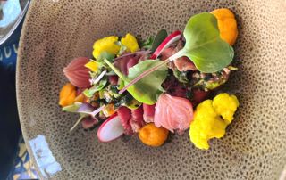 assiette d'entrée raffinée au poisson