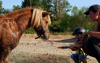 stage d'équitation