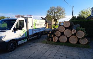 Camion et troncs d'arbres abattus
