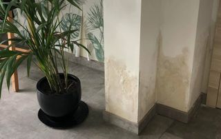 traces de salpêtre sur un mur intérieur