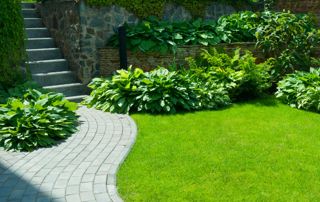 beau jardin avec allée