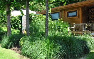 cabane de jardin derrière buisson