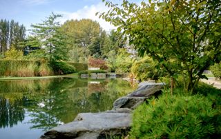 grand parc avec lac bordé d'arbres et plantes aquatiques