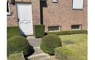 allée menant vers l'entrée d'une maison avec buissons bien taillés