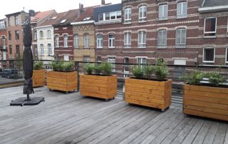 terrasse en bois avec bacs à fleurs