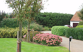 parterres fleuris dans un jardin