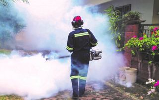 désinfection de jardin en Brabant wallon