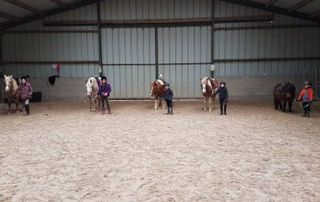 Cours d'équitation
