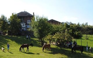 ferme avec chevaux