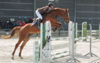 saut d'obstacle à cheval