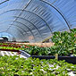 Ets HORTICOLES LAURENT - Arlon