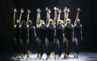 danseuses justaucorps noirs