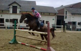 saut d'obstacle à cheval