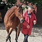 Cours de dressage