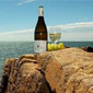 L'ODYSSEE DES AROMES - Grez-Doiceau