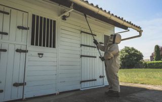 ABATERA - Désinfection et extermination