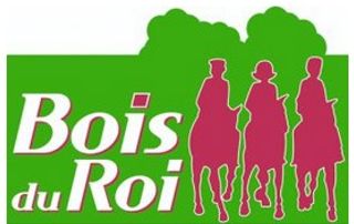 logo bois du roi