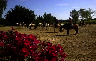 Centre équestre de Wisbeley equitation
