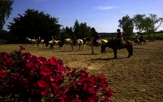 equitation