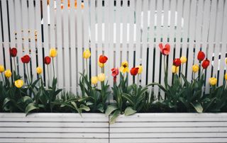 Produits proposés par ces entreprises du Luxembourg