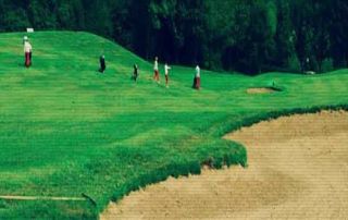 terrain de golf avec joueurs 