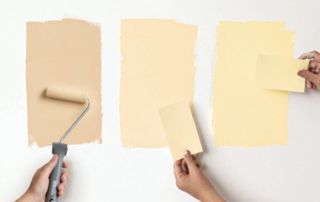 Échantillons de peinture