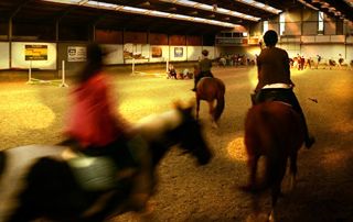 cours d'équitation