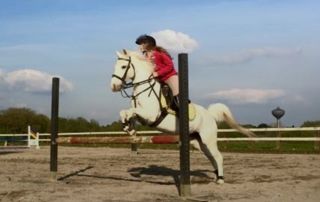 HAINAUT CRISTAL JUMPING CLUB