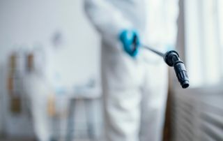 machine pour désinfecter 