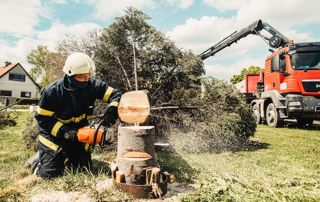 abattage d'un arbre par démontage