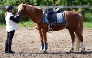 poney apprentissage