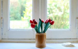 pot de fleurs sur un rebord de fenêtre