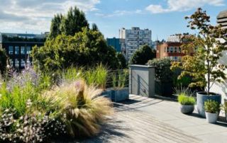 terrasse en bois