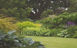 jardin bien entretenu avec buissons et fleurs