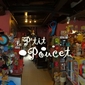 Le Ptit Poucet magasin de jouets