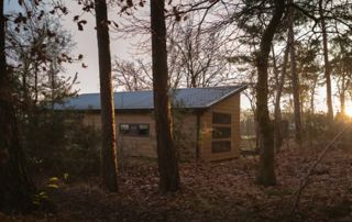 MAISON NATURE