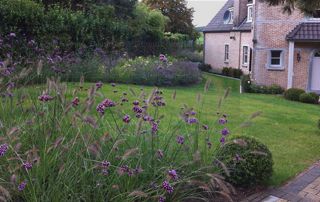 jardin aménagé de parterres