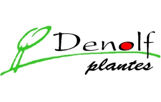 logo Denolf Plantes