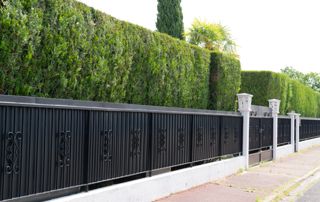 portail métallique devant une haie