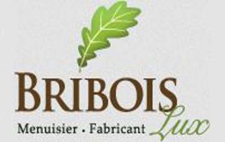 logo bribois