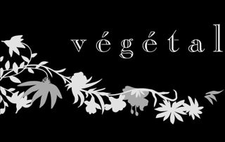 logo végétal