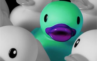 canard en plastique-duck